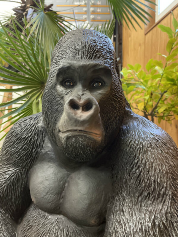 Junger Gorilla, sitzende Dekofigur, 75 cm hoch 5