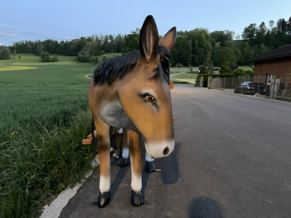 Deko Esel lebensgross mit Wagen 1-Achser, 260 cm lang 2
