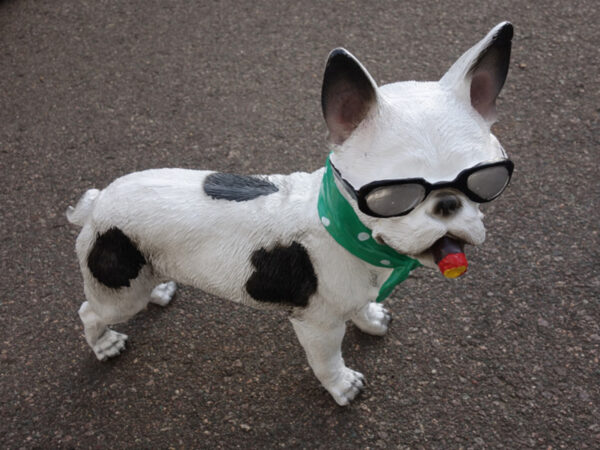 Französische Bulldogge mit Zigarre und Sonnenbrille, 36 cm lang