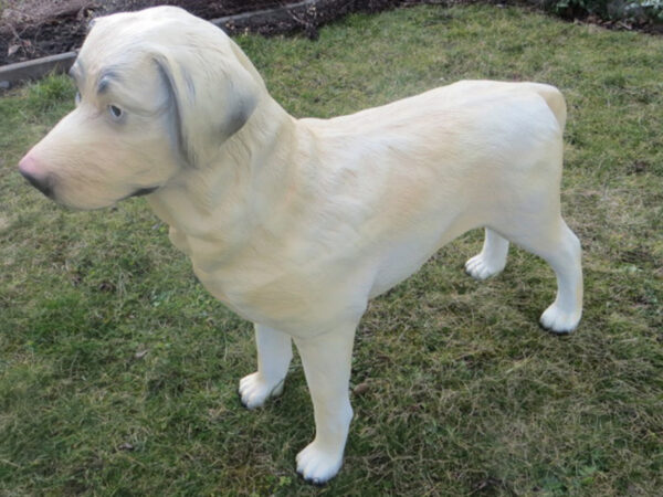 Lebensgrosse Labrador Hundefigur, stehend, 70 cm hoch 5