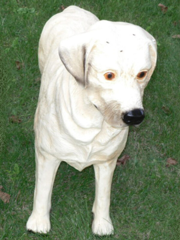 Lebensgrosse Labrador Hundefigur, stehend, 70 cm hoch 3