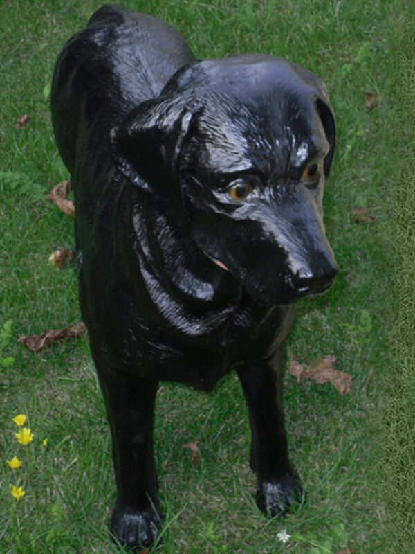 Lebensgrosse Labrador Hundefigur, stehend, 70 cm hoch 4