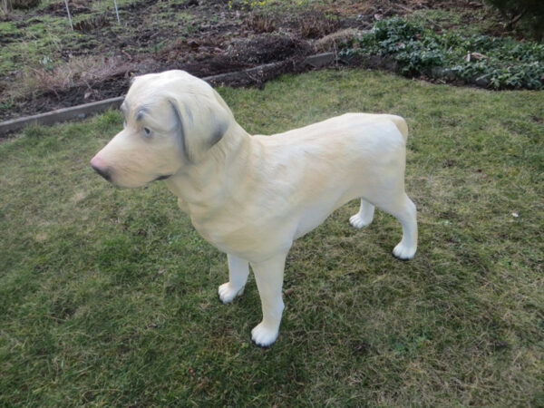 Lebensgrosse Labrador Hundefigur, stehend, 70 cm hoch 6