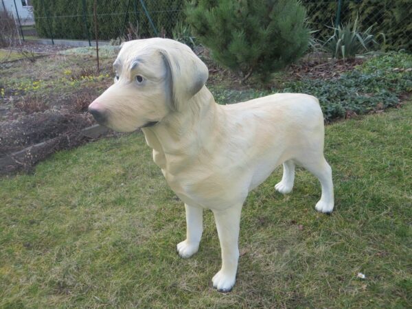 Lebensgrosse Labrador Hundefigur, stehend, 70 cm hoch 7