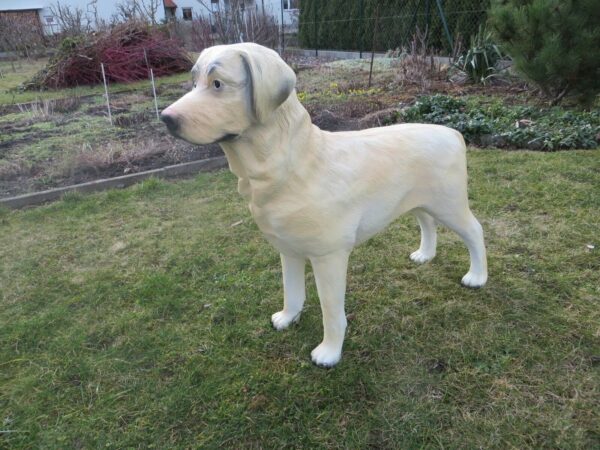 Lebensgrosse Labrador Hundefigur, stehend, 70 cm hoch 10
