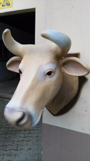 Kuhkopf Deko für die Wand, hellbraun, 60 cm hoch