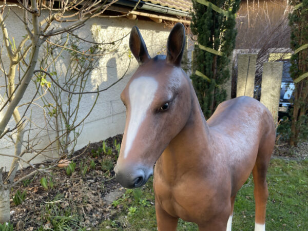 Pferd Dekofigur lebensgrosses Araber-Fohlen, 140cm hoch, braun 10