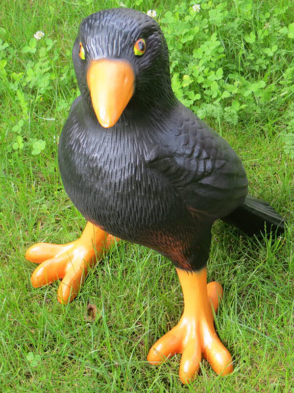Lebensgrosse Alpenkrähe Deko Vogel, 45 cm hoch