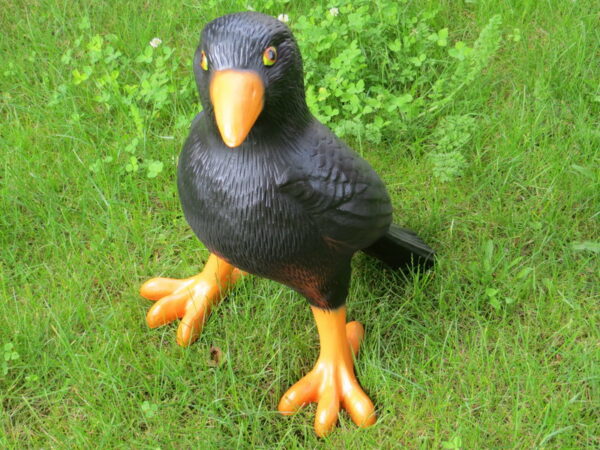 Lebensgrosse Alpenkrähe Deko Vogel, 45 cm hoch 2