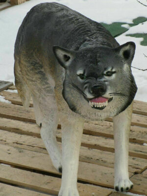 Lebensgrosser Wolf für die Gartendeko, 125 cm lang