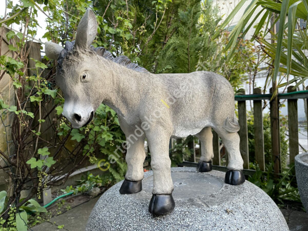 Junger Esel zu den Krippenfiguren, 40 cm hoch
