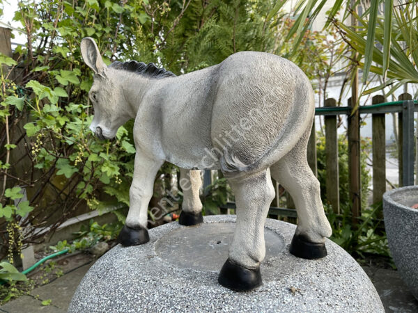 Junger Esel zu den Krippenfiguren, 40 cm hoch 3
