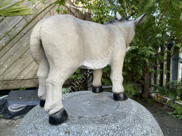 Junger Esel zu den Krippenfiguren, 40 cm hoch 4