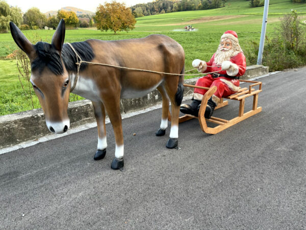 Esel lebensgross und Samichlaus auf Schlitten, 290 cm lang 3
