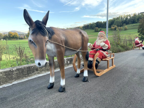 Esel lebensgross und Samichlaus auf Schlitten, 290 cm lang 2